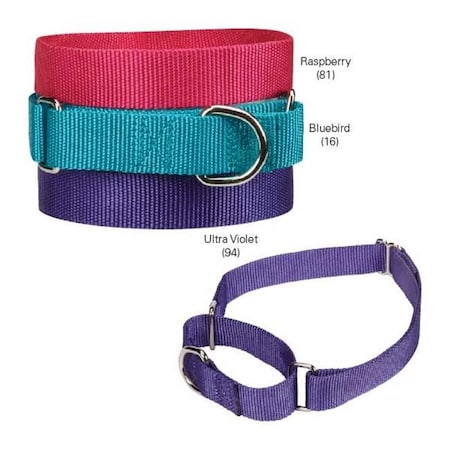 Guardian Gear ZA1524 18 16 GG Nylon Martingale Cllr 18-26 In Bluebird